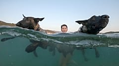 Watch: Canine beach race in Croatia 