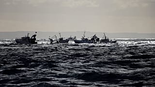 Francia y el Reino Unido 'en guerra' por la vieira