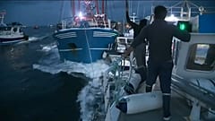 Jakobsmuschelkrieg geht weiter