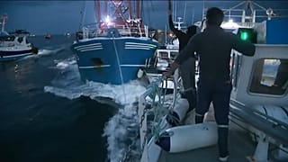 Jakobsmuschelkrieg geht weiter