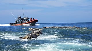 Messico: il video della strage di tartarughe