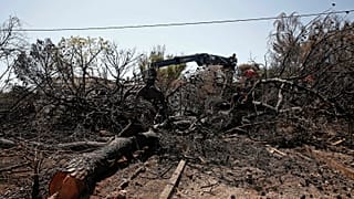 Στους 98 οι νεκροί από την πυρκαγιά στο Μάτι