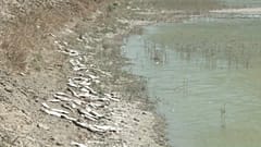 В Басре опасаются вспышки холеры 