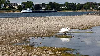 World Water Week: How clean is European water?
