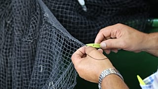 Balık tüketmeyen Türkiye Avrupa'nın 8'inci büyük deniz ürünleri üreticisi