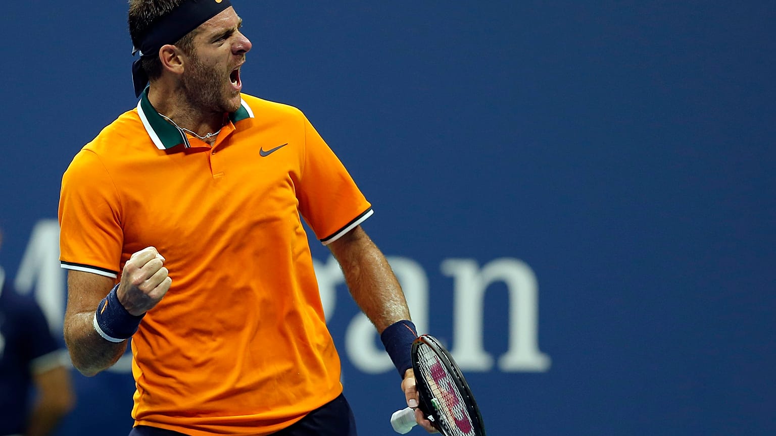 ABD Açık'ta Del Potro çeyrek finalde 