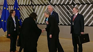 Тереза Мэй меж двух огней