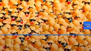 Cincinnati holds Rubber Duck charity race