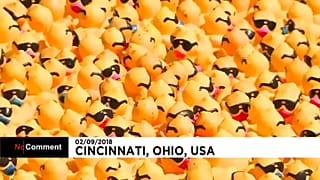 A "ducky" Cincinnati tradition for a good cause