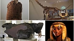 10 tesoros dentro del Museo Nacional de Brasil, arrasado por un incendio