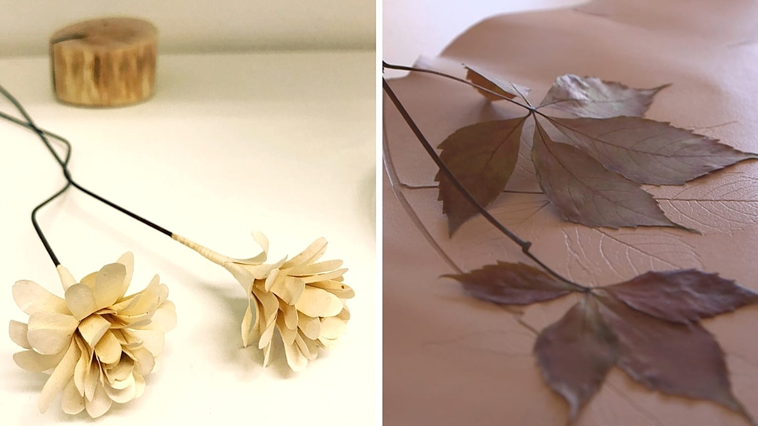 Saving old books and preserving nature by art