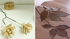 Breathing life into old books & embossing the natural world onto leather