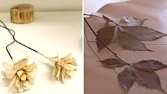 Saving old books and preserving nature by art