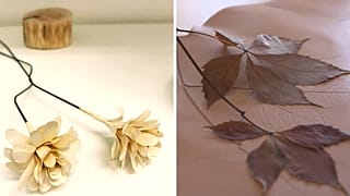 Saving old books and preserving nature by art