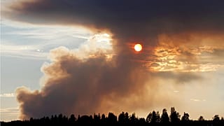 Suecia: el clima, clave electoral por primera vez en Europa