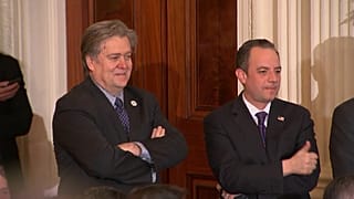 Bannon: to ban or not to ban?