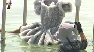 Une robe de sel dans la mer Morte
