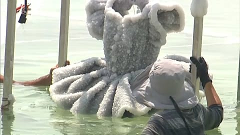 Ballerina tutu emerges as dazzling art from Dead Sea