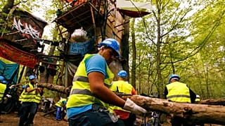 Arbeiter entfernen Äste und umgefallene Bäume im Hambacher Forst.