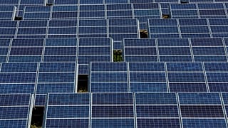 1600 darabos napelemparkot hoztak létre Baranya megyében