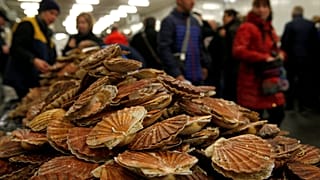 Guerra de las vieiras: peleados por un símbolo de la unidad de Europa