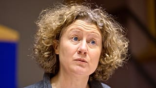 Bezavarhat a pártpolitika Sargentini szerint az EP szavazásán