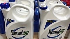 Monsanto sous observation de l’UE