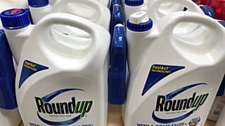 Monsanto sous observation de l’UE