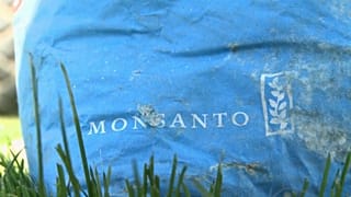 Brüsszel: célkeresztben a Monsanto