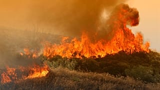Σε ύφεση η πυρκαγιά στη Σάμο