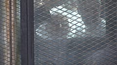 L'ONU su Raaba Adawiya: "Processo ingiusto"