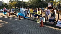 Caça à baleia de novo em discussão