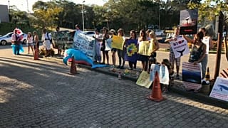 Defensores y detractores de la caza de ballenas miden sus fuerzas en Brasil