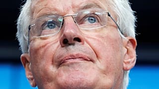 Barnier gives May a lifeline
