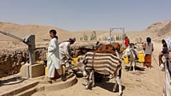 سازمان ملل: خشکسالی بیش از تنش و درگیری در افغانستان موجب مهاجرت می‌شود