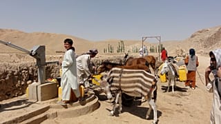سازمان ملل: خشکسالی بیش از تنش و درگیری در افغانستان موجب مهاجرت می‌شود