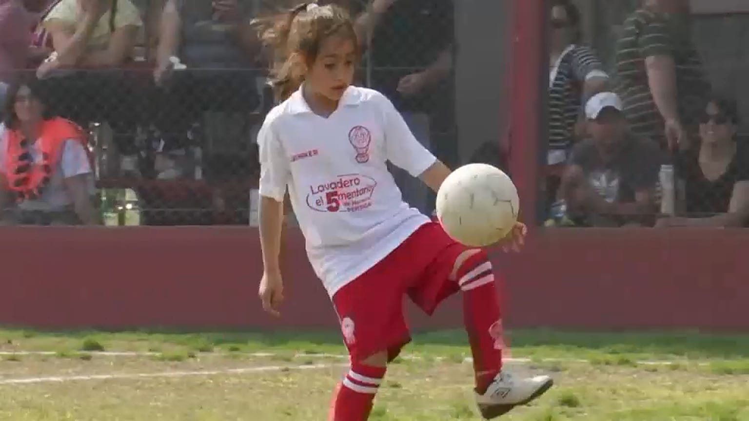 Solo quiere jugar
