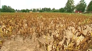 Extreme Trockenheit in Norwegen