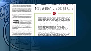 "Nous voulons des coquelicots" : pour l'interdiction des pesticides