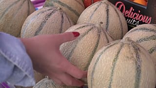 Précarité alimentaire : un Français sur cinq a du mal à se nourrir