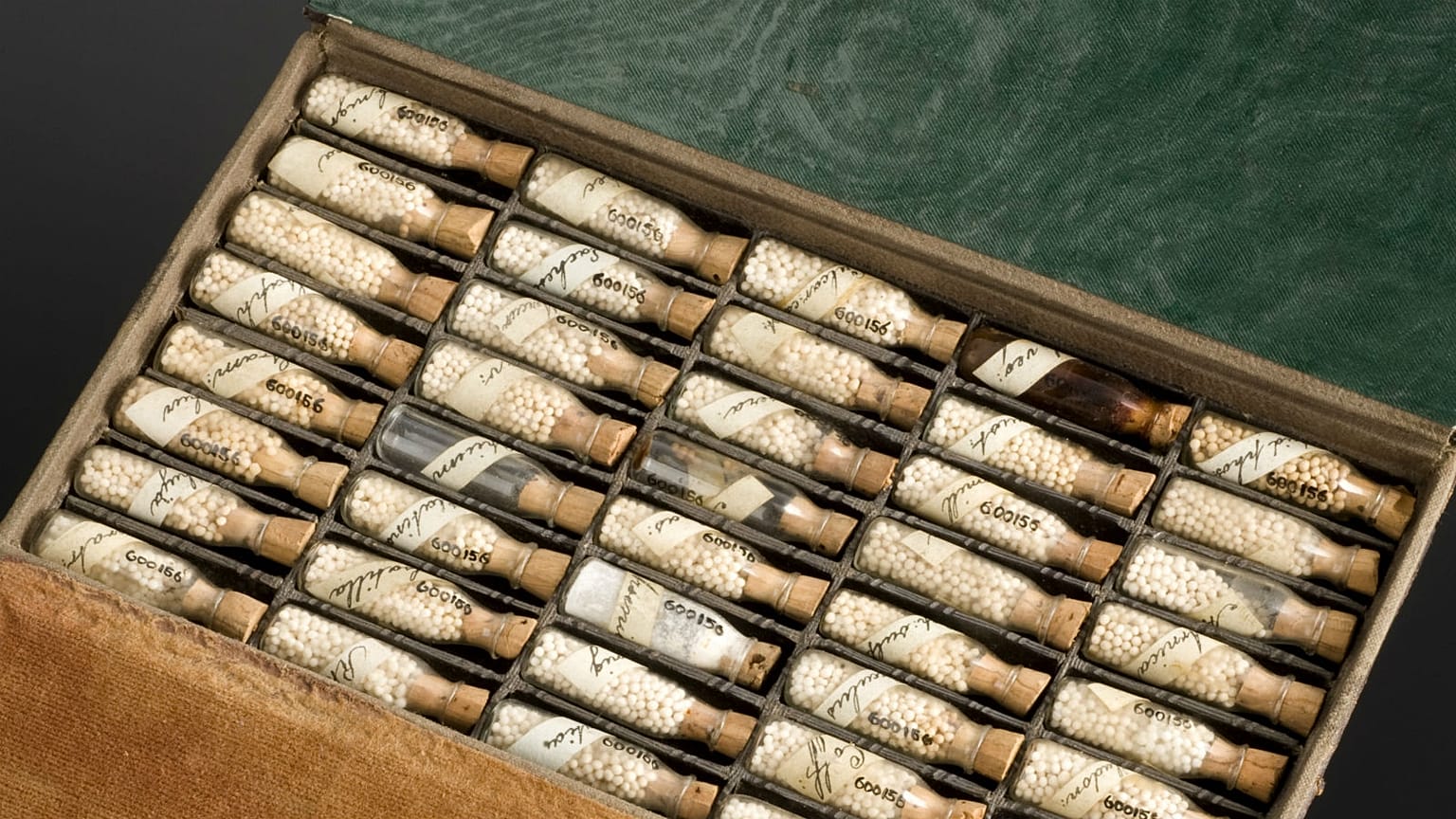 Snake oil or science? Homeopathy in Europe