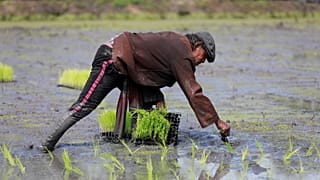 Efforts to decrease malnourishment in Asia have stalled, the UN warned.