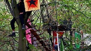 Le capanne costruite dai militanti ecologisti nella foresta di Hambach