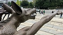 Hitler salute wolves erected in Chemnitz after far-right protests