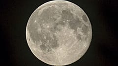 Le bal du tourisme lunaire ouvert par SpaceX ?