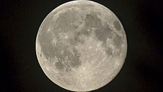 Le bal du tourisme lunaire ouvert par SpaceX ?