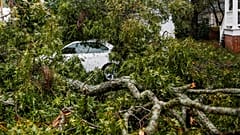 Tropensturm Florence in North Carolina: Hunderttausende ohne Strom