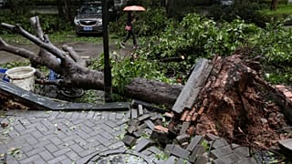 Mangkhut Tayfunu: 68 kişi öldü; 2,5 milyon kişi evlerinden tahliye edildi