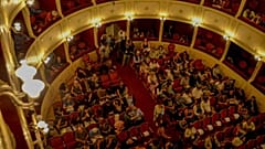 Το πρόγραμμα του Animasyros 11
