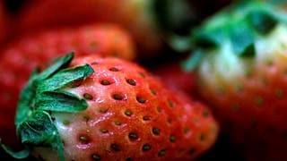 Australia: si diffonde lo spavento per gli aghi trovati nelle fragole